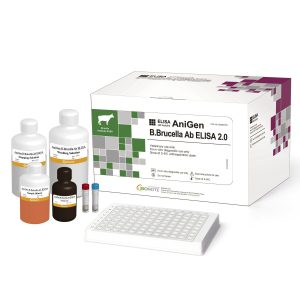 Brucella test kit Dalit Solutions Nairobi